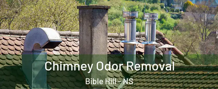  Chimney Odor Removal Bible Hill - NS
