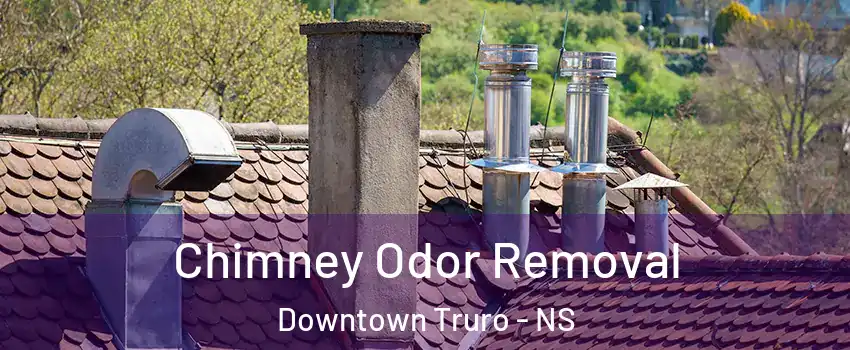  Chimney Odor Removal Downtown Truro - NS