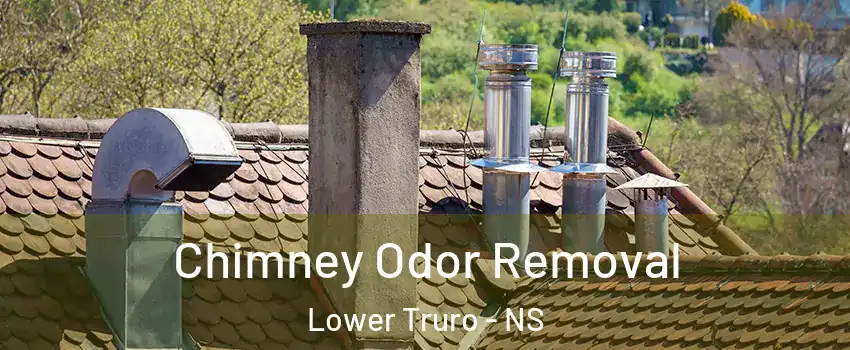 Chimney Odor Removal Lower Truro - NS