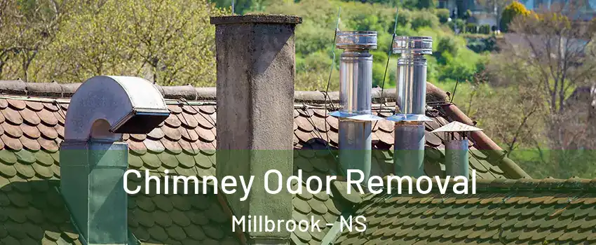 Chimney Odor Removal Millbrook - NS