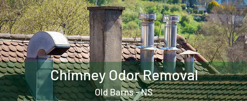  Chimney Odor Removal Old Barns - NS