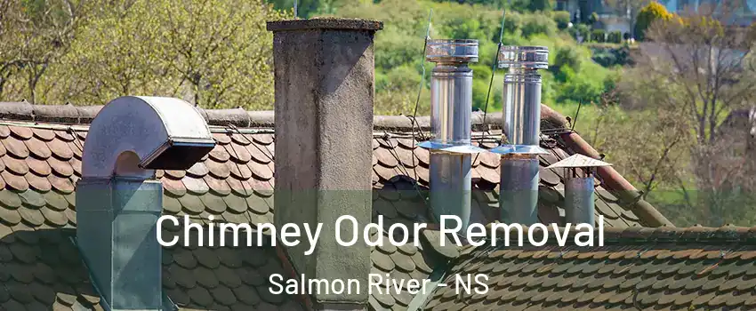  Chimney Odor Removal Salmon River - NS