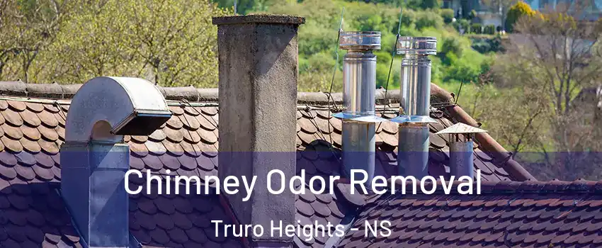  Chimney Odor Removal Truro Heights - NS