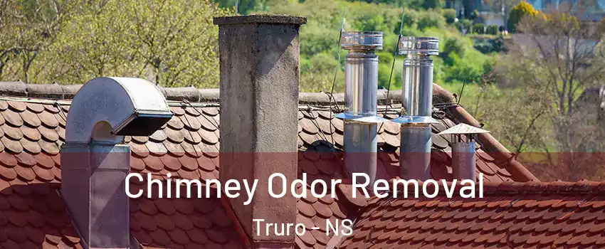  Chimney Odor Removal Truro - NS