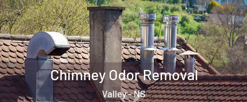  Chimney Odor Removal Valley - NS