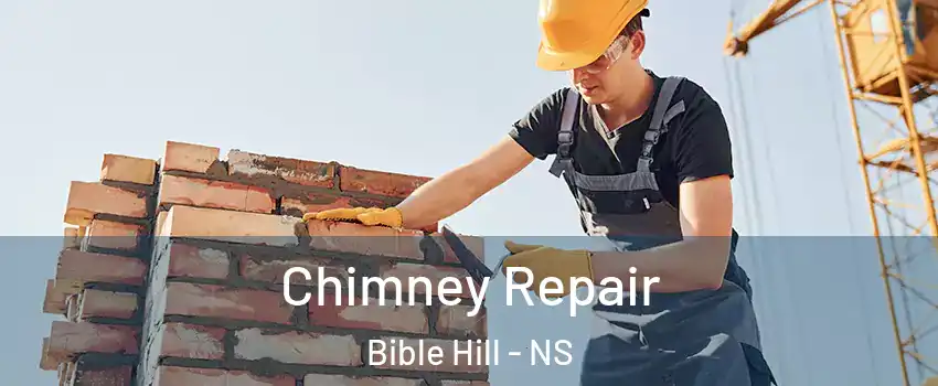  Chimney Repair Bible Hill - NS