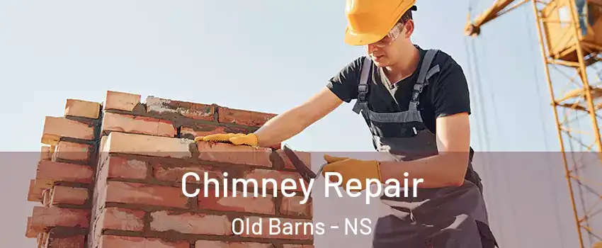  Chimney Repair Old Barns - NS