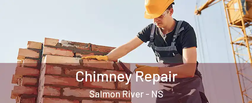  Chimney Repair Salmon River - NS
