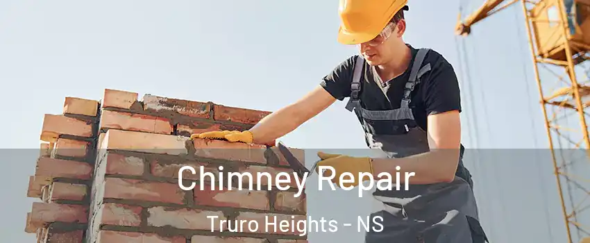  Chimney Repair Truro Heights - NS