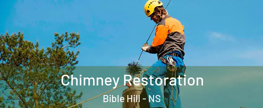  Chimney Restoration Bible Hill - NS