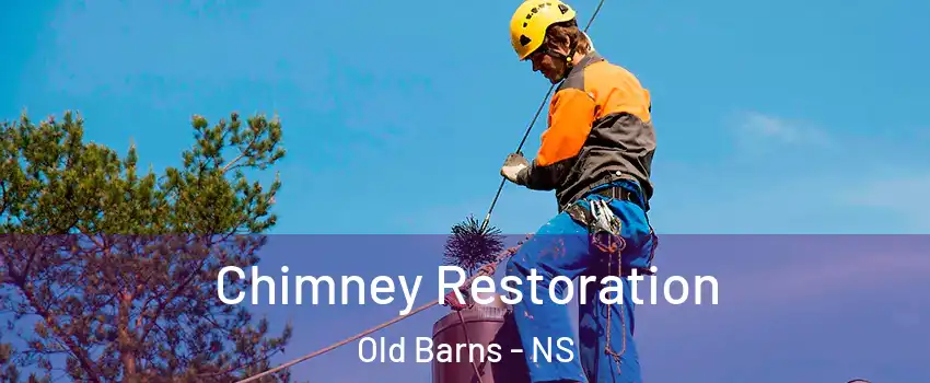  Chimney Restoration Old Barns - NS