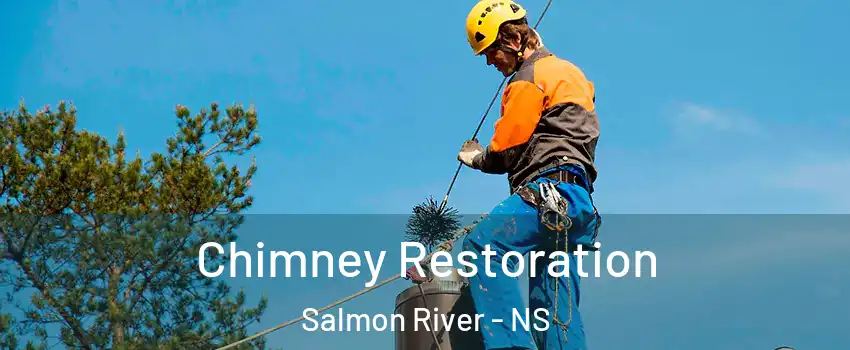  Chimney Restoration Salmon River - NS