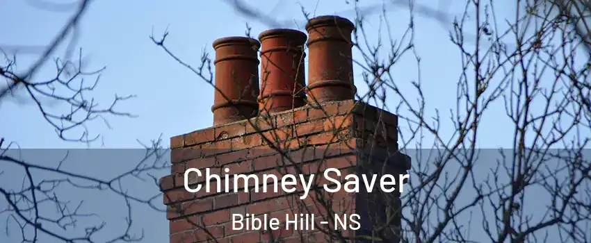 Chimney Saver Bible Hill - NS