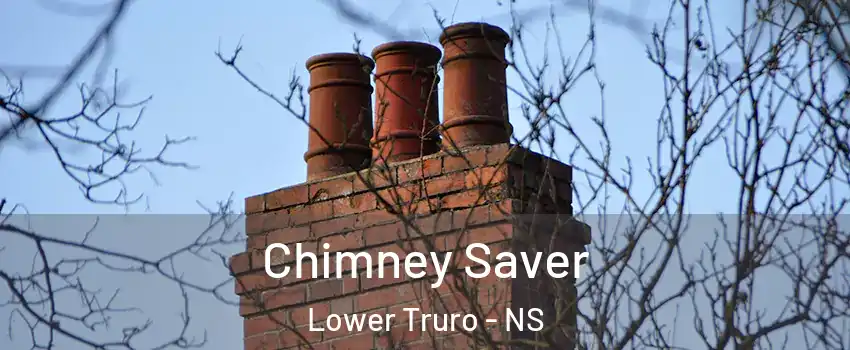  Chimney Saver Lower Truro - NS