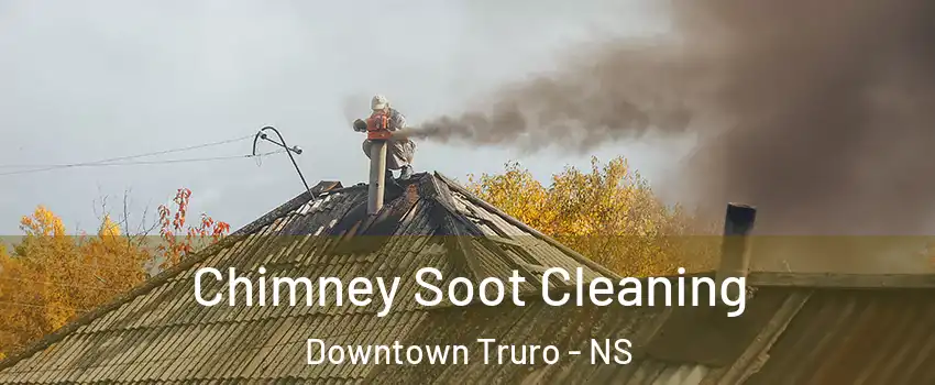  Chimney Soot Cleaning Downtown Truro - NS