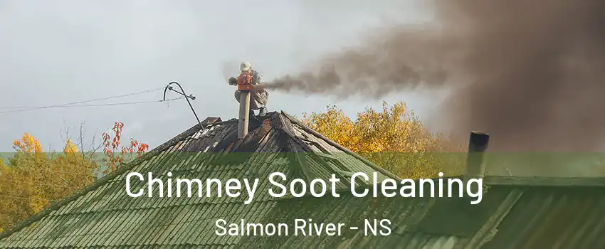  Chimney Soot Cleaning Salmon River - NS
