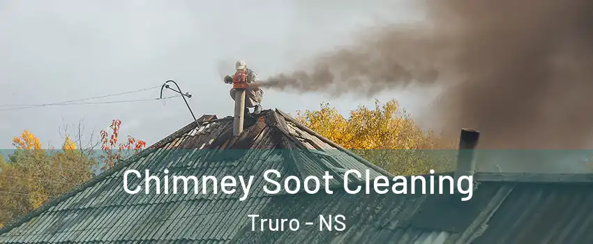  Chimney Soot Cleaning Truro - NS