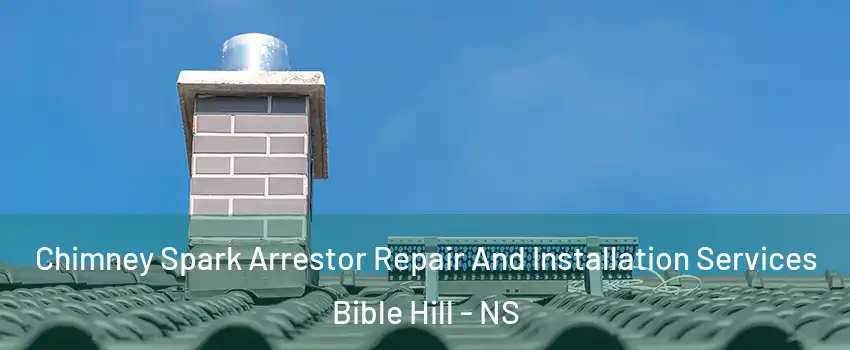  Chimney Spark Arrestor Repair And Installation Services Bible Hill - NS