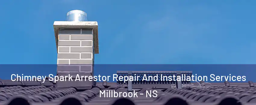  Chimney Spark Arrestor Repair And Installation Services Millbrook - NS