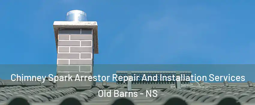  Chimney Spark Arrestor Repair And Installation Services Old Barns - NS