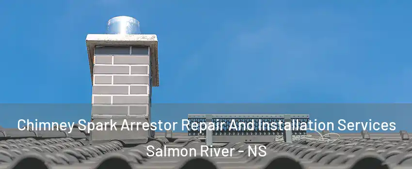  Chimney Spark Arrestor Repair And Installation Services Salmon River - NS