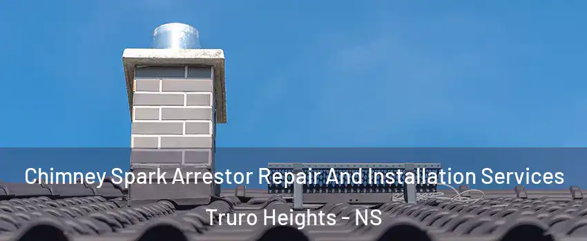  Chimney Spark Arrestor Repair And Installation Services Truro Heights - NS