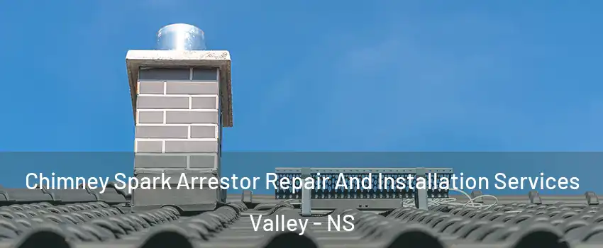  Chimney Spark Arrestor Repair And Installation Services Valley - NS