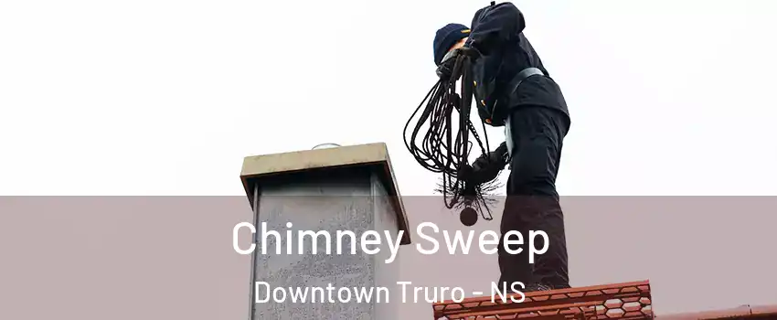  Chimney Sweep Downtown Truro - NS