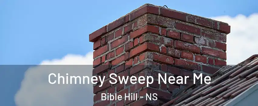  Chimney Sweep Near Me Bible Hill - NS