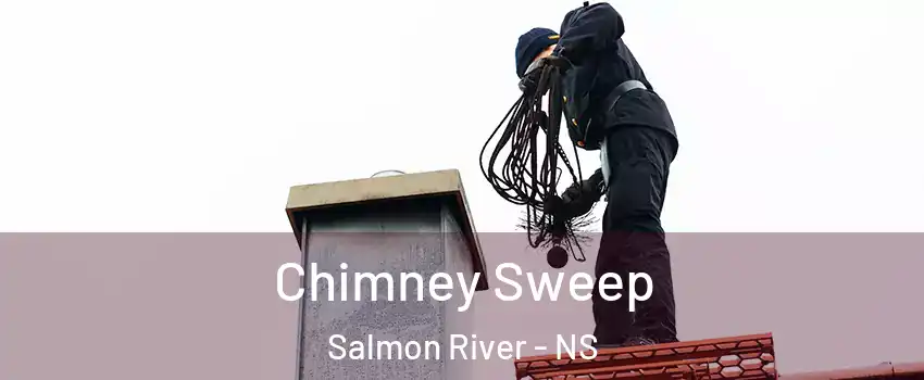  Chimney Sweep Salmon River - NS