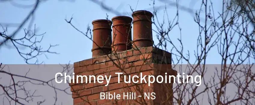  Chimney Tuckpointing Bible Hill - NS