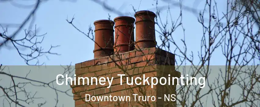  Chimney Tuckpointing Downtown Truro - NS