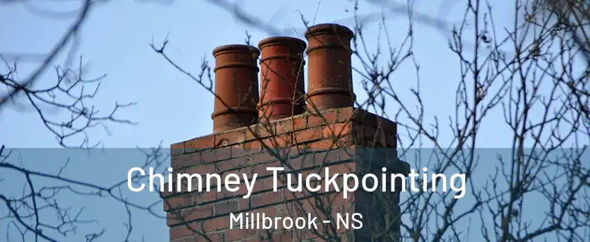  Chimney Tuckpointing Millbrook - NS