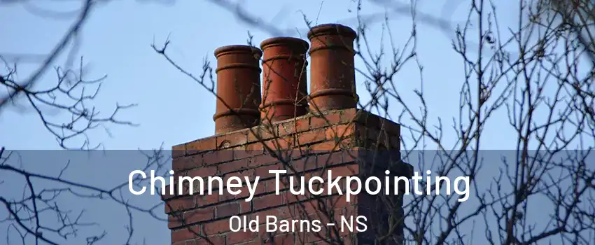  Chimney Tuckpointing Old Barns - NS