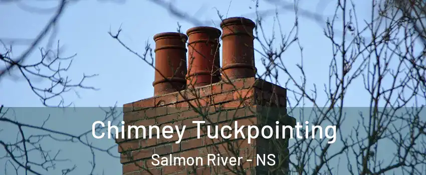  Chimney Tuckpointing Salmon River - NS