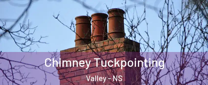  Chimney Tuckpointing Valley - NS