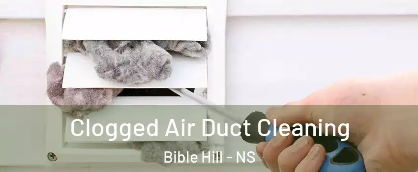  Clogged Air Duct Cleaning Bible Hill - NS