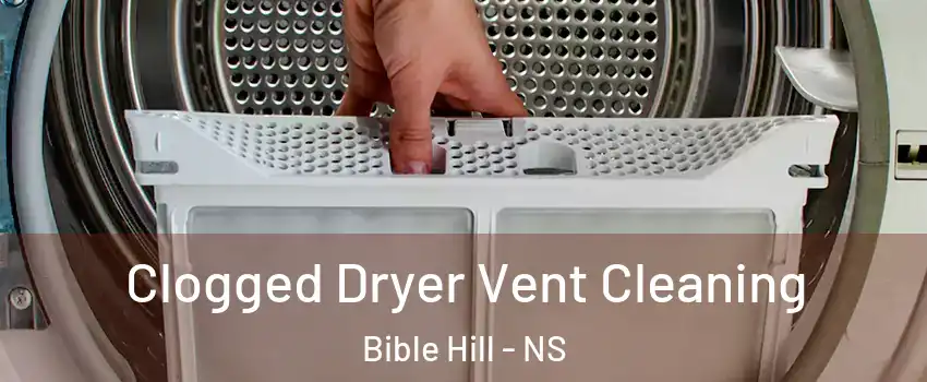  Clogged Dryer Vent Cleaning Bible Hill - NS