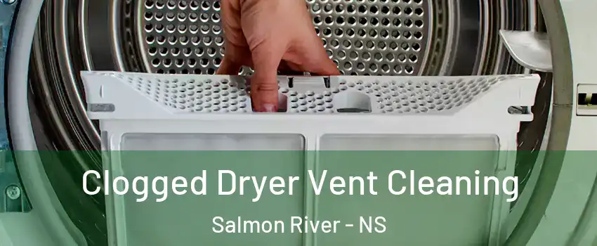  Clogged Dryer Vent Cleaning Salmon River - NS