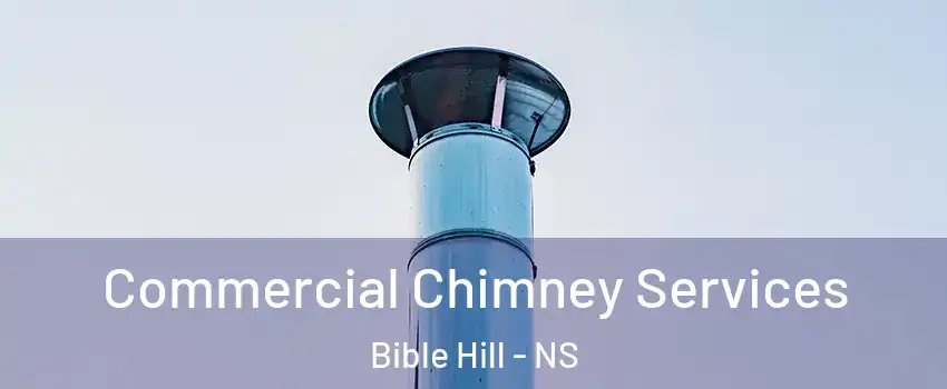  Commercial Chimney Services Bible Hill - NS