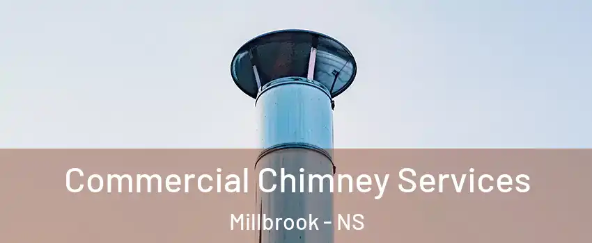  Commercial Chimney Services Millbrook - NS