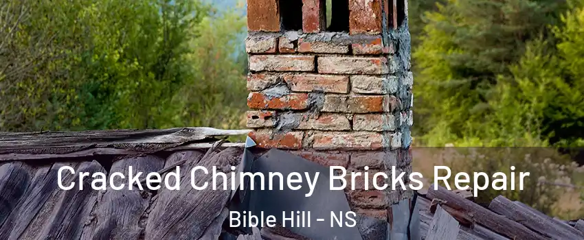  Cracked Chimney Bricks Repair Bible Hill - NS