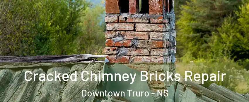  Cracked Chimney Bricks Repair Downtown Truro - NS