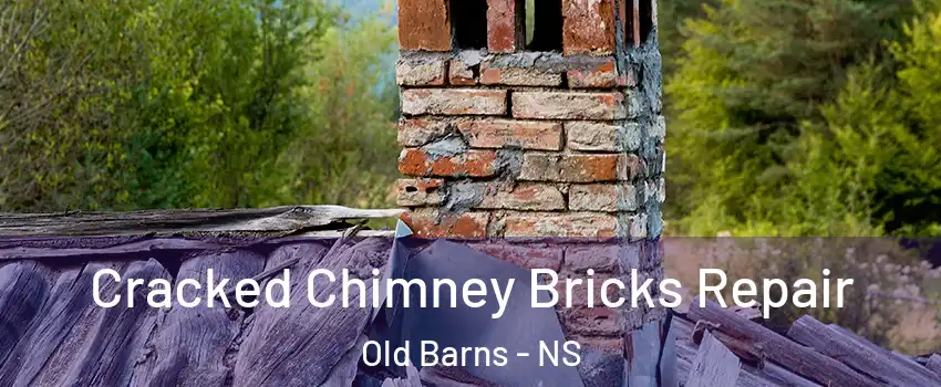 Cracked Chimney Bricks Repair Old Barns - NS