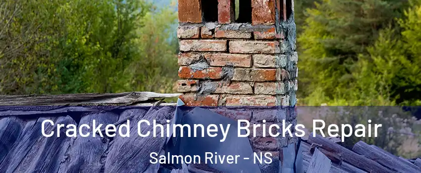  Cracked Chimney Bricks Repair Salmon River - NS