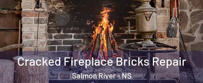  Cracked Fireplace Bricks Repair Salmon River - NS