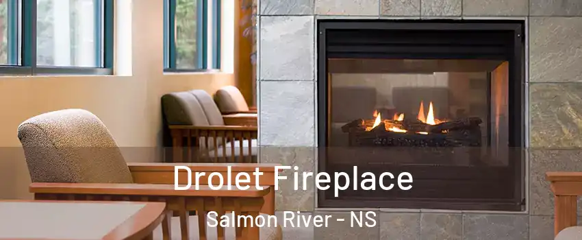  Drolet Fireplace Salmon River - NS