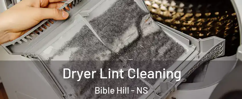  Dryer Lint Cleaning Bible Hill - NS