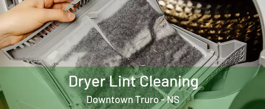  Dryer Lint Cleaning Downtown Truro - NS
