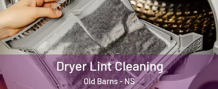  Dryer Lint Cleaning Old Barns - NS